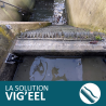 SOLUTION VIG'EEL